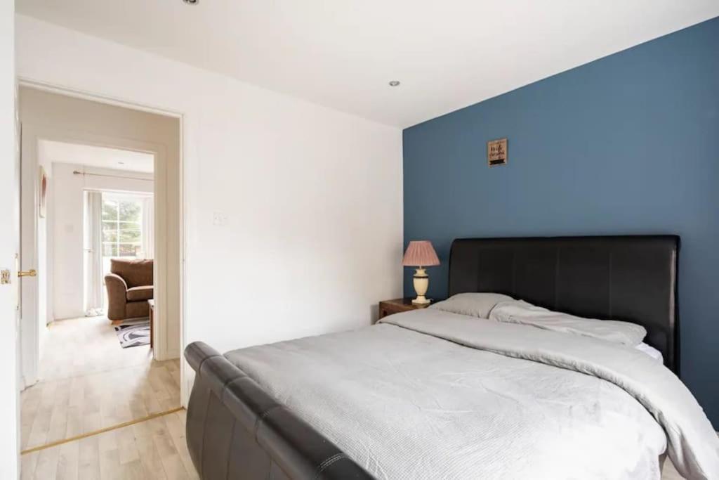Lovely One Bedroom Flat. Belfast Eksteriør bilde